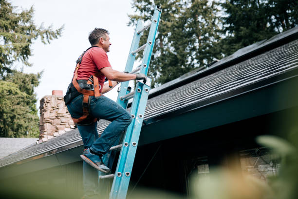 Skylights in Hudson, CO